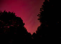 Northern Lights , Erie Pa 2024