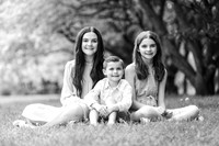 Nikki Mothers Day Mini