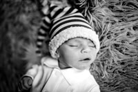 Enzo's Newborn session
