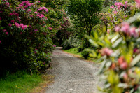 IRELAND
