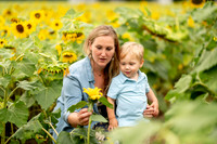 Andy & Whitney Sunflower Mini
