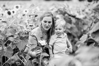 Andy & Whitney Sunflower Mini