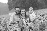 Andy & Whitney Sunflower Mini