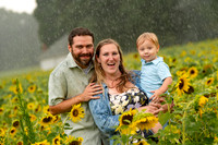 Andy & Whitney Sunflower Mini