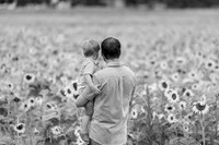 Andy & Whitney Sunflower Mini
