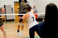 Eagles Volleyball