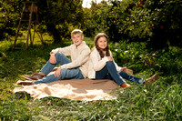 Smith Family Apple Orchard Mini!