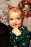 Kennedy holiday Family Mini