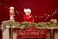 Joelle and Phil Holiday Mini Session 2025