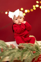 Joelle and Phil Holiday Mini Session 2025