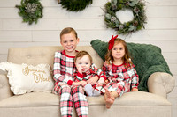 Reiser Holiday Mini Session