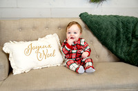Reiser Holiday Mini Session