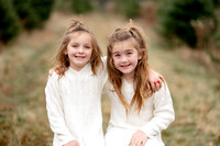 TREE FARM mini session JONES Family