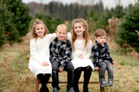 TREE FARM mini session JONES Family