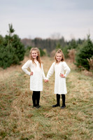 TREE FARM mini session JONES Family