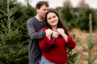 TREE FARM mini session JONES Family