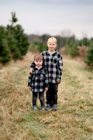 TREE FARM mini session JONES Family