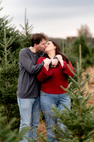 TREE FARM mini session JONES Family
