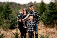 TREE FARM mini session JONES Family