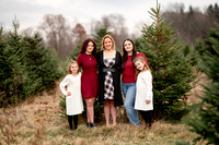 TREE FARM mini session JONES Family