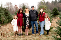 TREE FARM mini session JONES Family