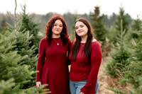 TREE FARM mini session JONES Family