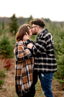 TREE FARM mini session JONES Family