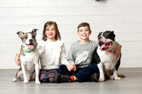 Johnson Holiday Session