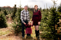 Tree Farm mini session ROACH Family