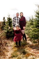 Tree Farm mini session ROACH Family