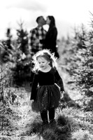 Tree Farm mini session ROACH Family