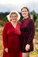 Tree Farm mini session ROACH Family