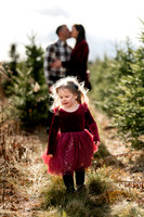 Tree Farm mini session ROACH Family