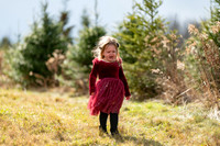 Tree Farm mini session ROACH Family