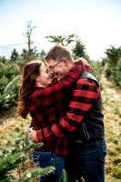 Tree Farm Mini session HUNTS