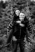 Tree Farm Mini session HUNTS