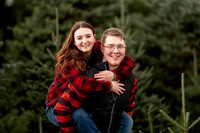 Tree Farm Mini session HUNTS