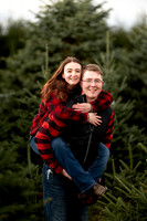Tree Farm Mini session HUNTS