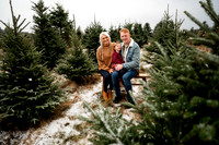 Tree Farm Mini Session JOHNSON Family
