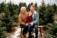 Tree Farm Mini Session JOHNSON Family