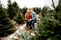 Tree Farm Mini Session JOHNSON Family