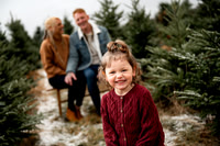 Tree Farm Mini Session JOHNSON Family