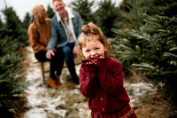 Tree Farm Mini Session JOHNSON Family