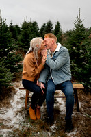 Tree Farm Mini Session JOHNSON Family