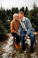 Tree Farm Mini Session JOHNSON Family
