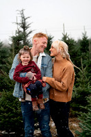 Tree Farm Mini Session JOHNSON Family