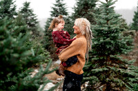 Tree Farm Mini Session JOHNSON Family