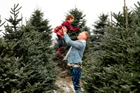 Tree Farm Mini Session JOHNSON Family
