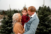 Tree Farm Mini Session JOHNSON Family