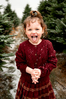 Tree Farm Mini Session JOHNSON Family